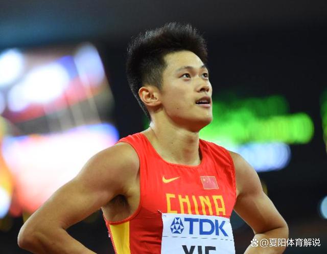 德信官网下载-体育领域新晋明星崭露头角，引发关注