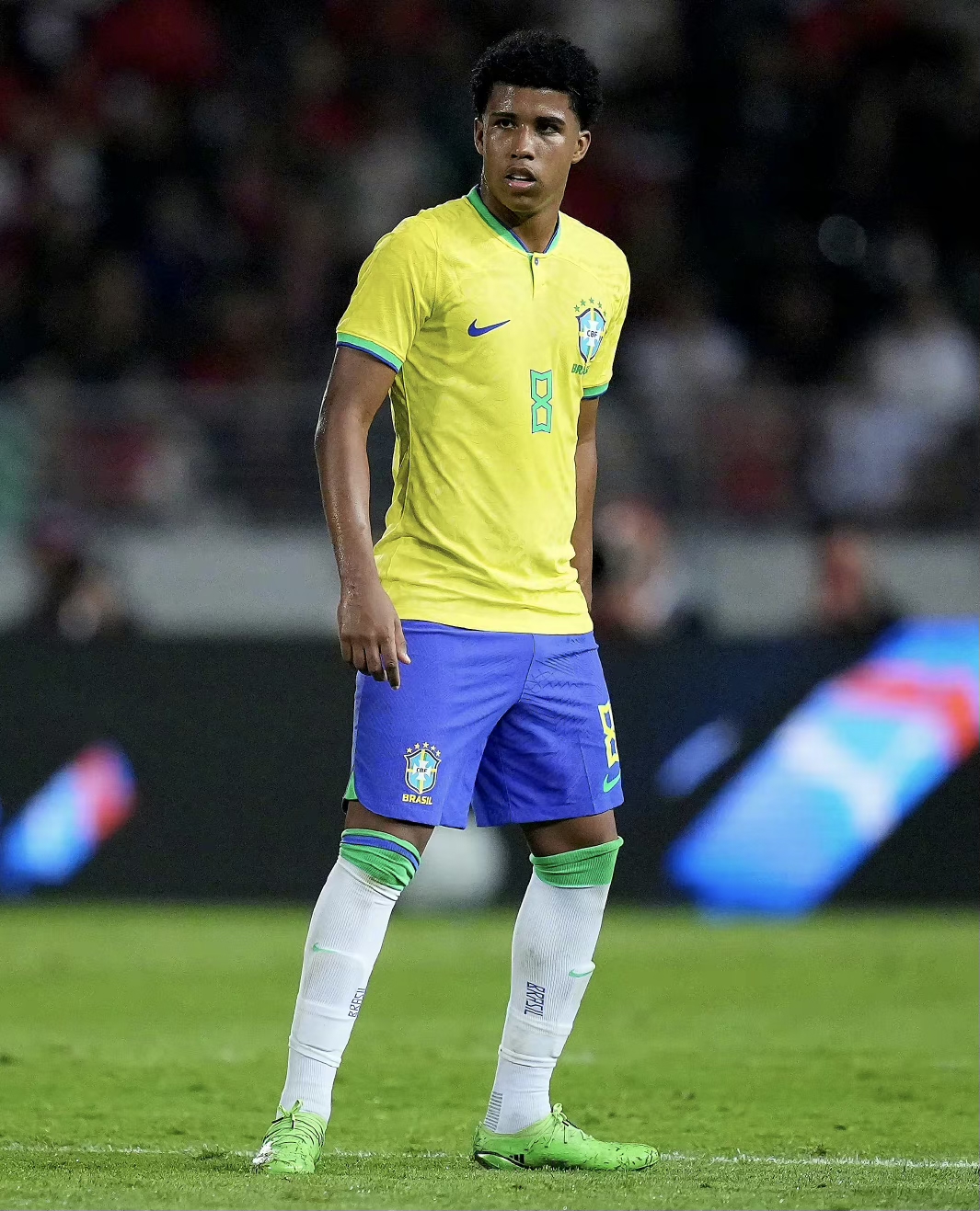 德信体育-巴西选手安德雷获得女子排球比赛冠军