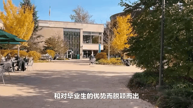 德信app下载-一支雄心勃勃的亚太球队以强劲实力夺冠