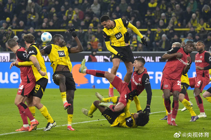 德信官网下载-勒沃库森主场大胜,豪取胜利