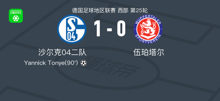 沙尔克04主场战胜对手,获得关键胜利 沙尔克04主场战胜对手,获得关键胜利