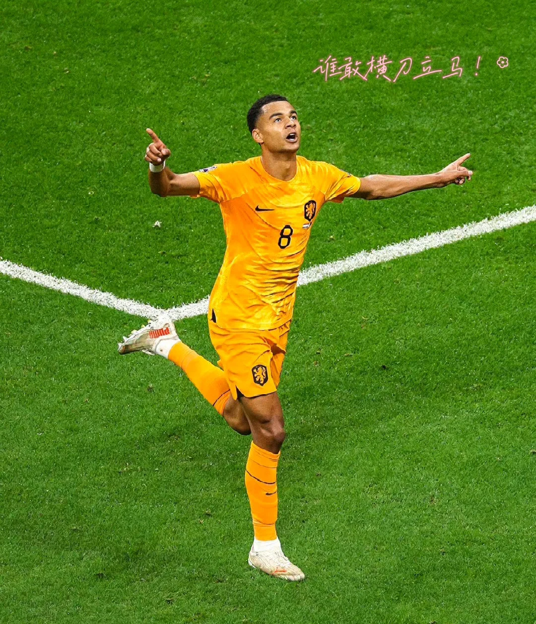 荷兰队实现逆袭,战胜强劲对手取得重要胜利 荷兰队实现逆袭,战胜强劲对手取得重要胜利