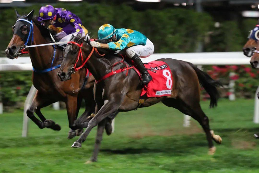 澳大利亚与新西兰进行激烈对决，胜出者晋级！