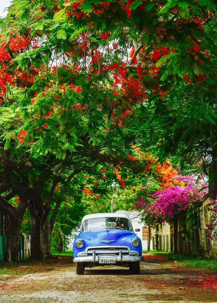 德信app下载-古巴宣布将开辟新的旅游线路