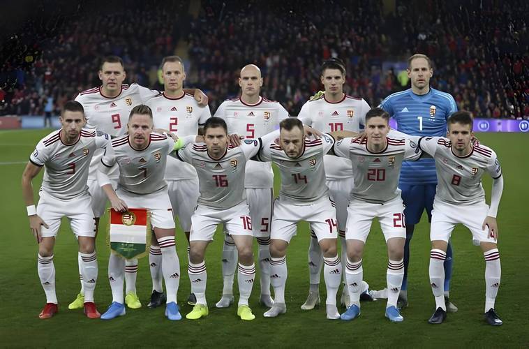 德信app下载-匈牙利队客场0-2不敌威尔士，遭遇失利